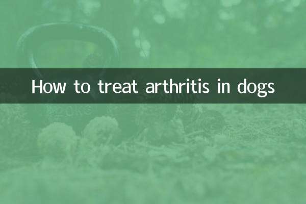 개의 관절염을 치료하는 방법