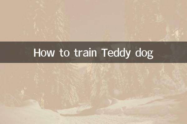 How to train Teddy dogs