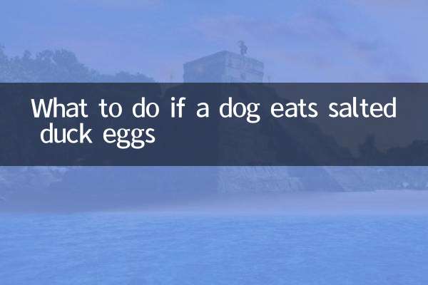 اگر کوئی کتا نمکین بتھ انڈے کھاتا ہے تو کیا کریں