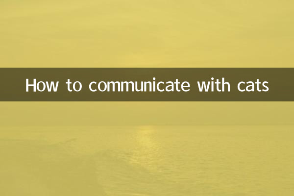 How to communicate with cats