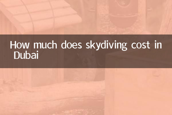 كم تكلفة القفز بالمظلات في دبي؟