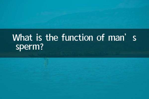 What is the function of man’s sperm?