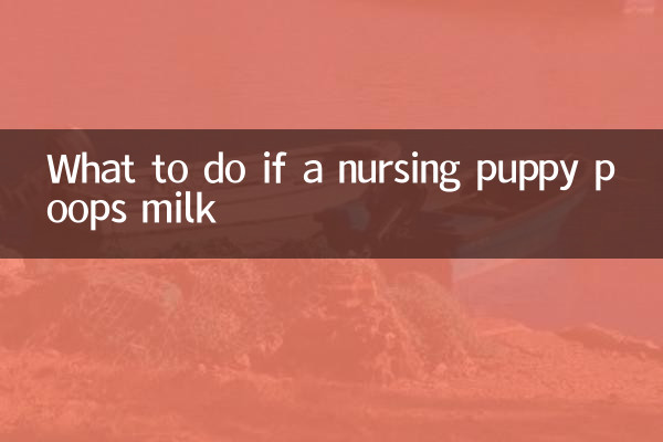 O que fazer se um cachorrinho amamentando fizer cocô de leite