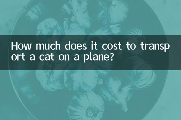 猫咪飞机托运多少钱