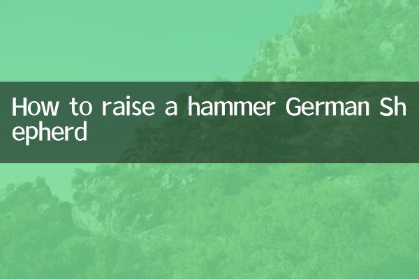 Comment soulever un marteau berger allemand