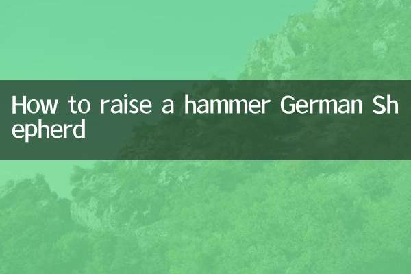 Comment soulever un marteau berger allemand