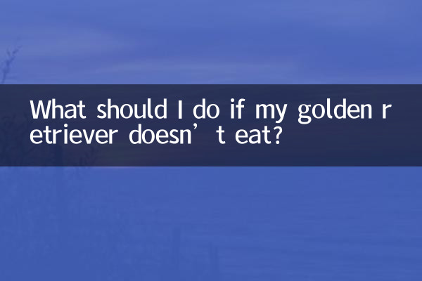 Что делать, если мой золотистый ретривер не ест?