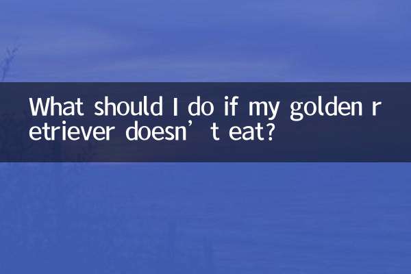 Что делать, если мой золотистый ретривер не ест?