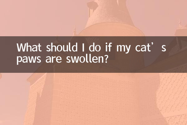 यदि मेरी बिल्ली के पंजे सूज गए हों तो मुझे क्या करना चाहिए?