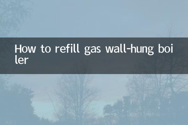 কিভাবে গ্যাস ওয়াল-হ্যাং বয়লার রিফিল করবেন