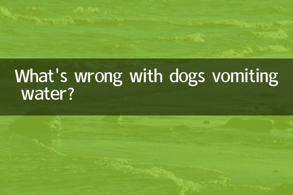 Quel est le problème avec les chiens qui vomissent de l'eau ?