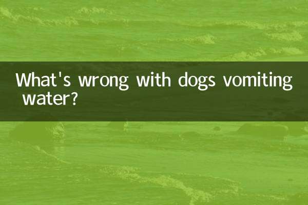 Quel est le problème avec les chiens qui vomissent de l'eau ?