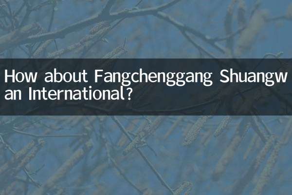 Qu'en est-il de Fangchenggang Shuangwan International ?