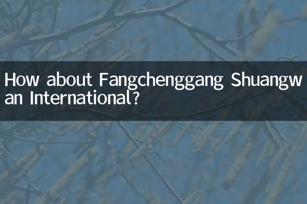 কিভাবে Fangchenggang Shuangwan আন্তর্জাতিক সম্পর্কে?