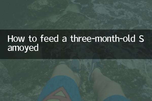 تین ماہ کے سموئیڈ کو کیسے کھانا کھلانا ہے