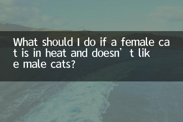 اگر ایک خاتون بلی گرمی میں ہے اور مرد بلیوں کو پسند نہیں کرتی ہے تو مجھے کیا کرنا چاہئے؟