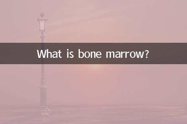 Qu’est-ce que la moelle osseuse ?