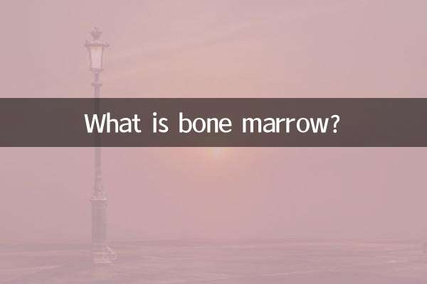 What is bone marrow?
