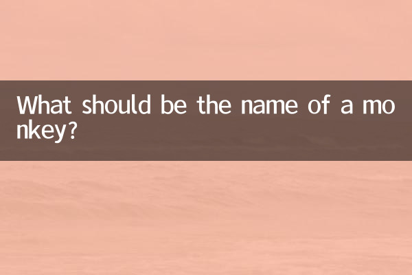 属猴应该起什么名字