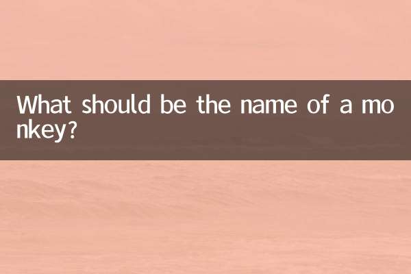 What should be the name of a monkey?