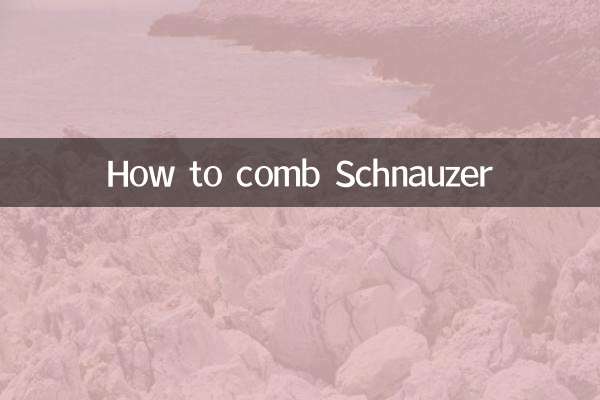 シュナウザーのとかし方