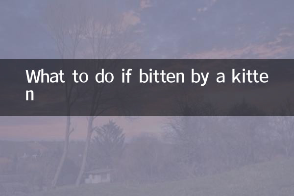 ماذا تفعل إذا عضتها قطة صغيرة