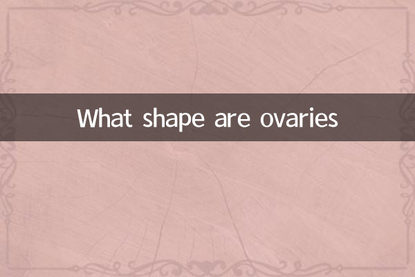 अंडाशय किस आकार के होते हैं