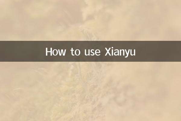 Xianyu를 사용하는 방법