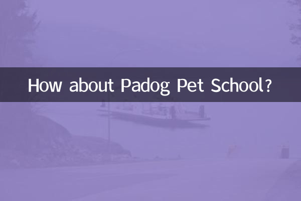 Wie wäre es mit der Padog Pet School?