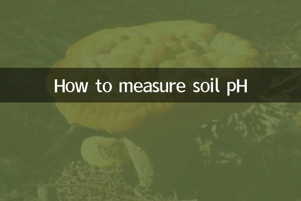 Como medir o pH do solo