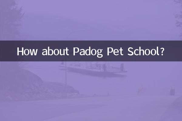 Как насчет школы домашних животных Padog?