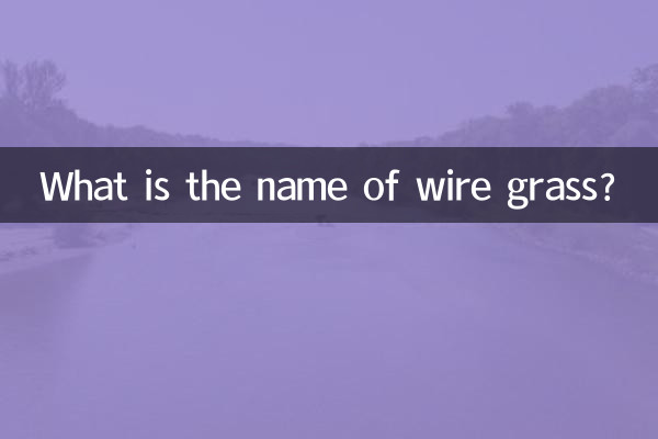 Wie heißt Drahtgras?