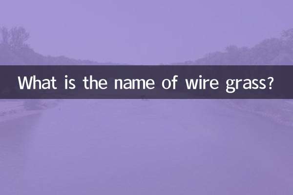 Wie heißt Drahtgras?