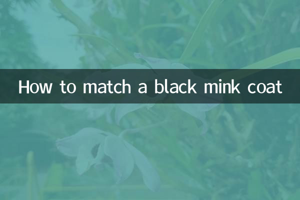 Come abbinare una pelliccia di visone nero