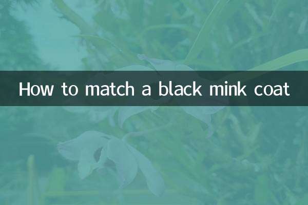 So kombinieren Sie einen schwarzen Nerzmantel