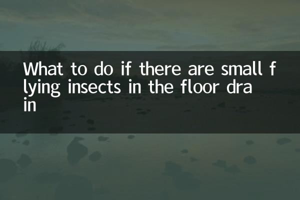 床の排水溝に小さな飛んでいる昆虫がいる場合の対処方法