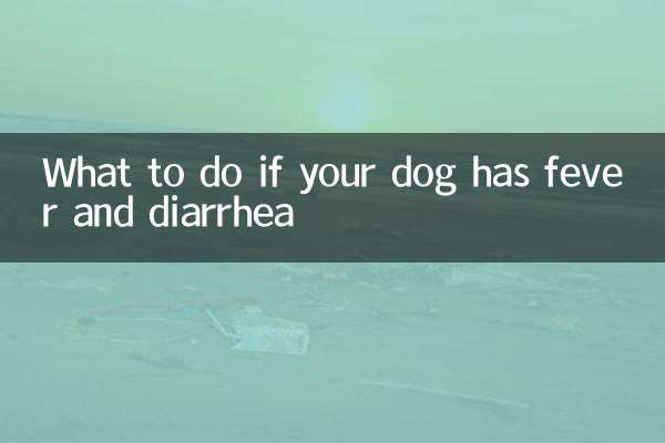 Cosa fare se il tuo cane ha febbre e diarrea
