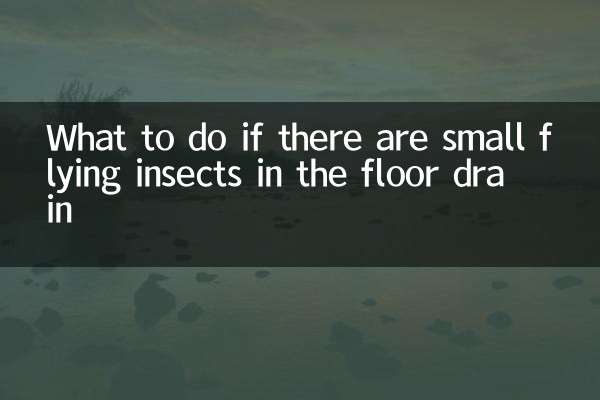 床の排水溝に小さな飛んでいる昆虫がいる場合の対処方法