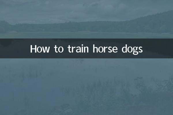 How to train horse dogs