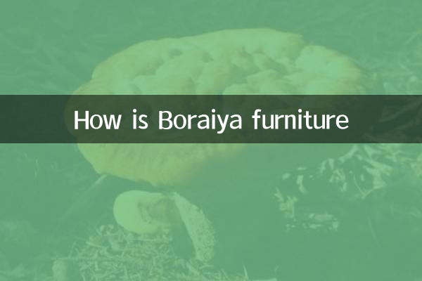 Com'è mobili boraiya