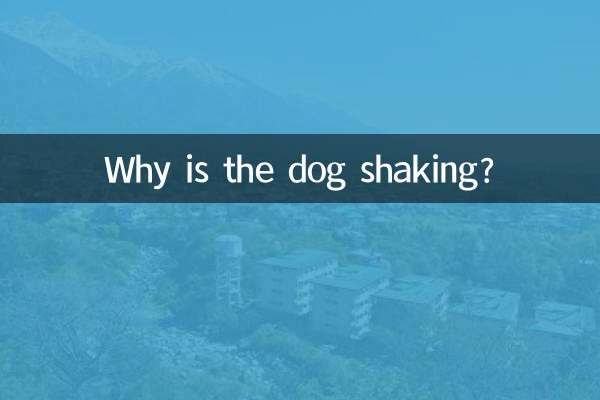 Warum zittert der Hund?