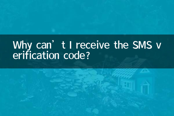 Por que não consigo receber o código de verificação por SMS?
