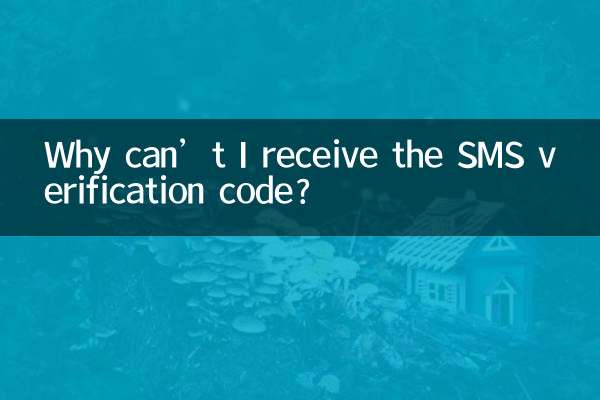Perché non riesco a ricevere il codice di verifica via SMS?