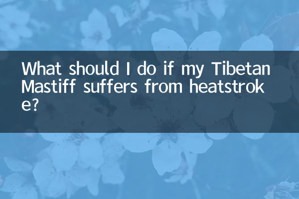 ¿Qué debo hacer si mi Mastín Tibetano sufre un golpe de calor?
