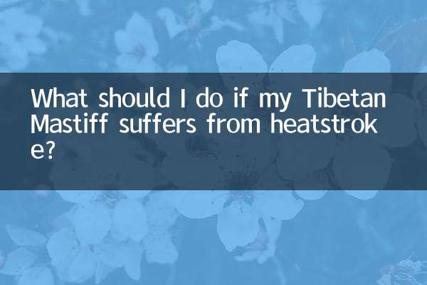 ¿Qué debo hacer si mi Mastín Tibetano sufre un golpe de calor?