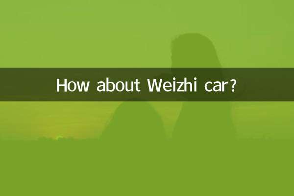 How about Weizhi car?