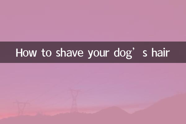 Como raspar o cabelo do seu cachorro