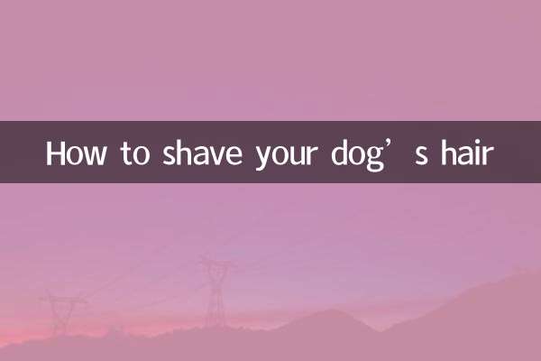 Como raspar o cabelo do seu cachorro