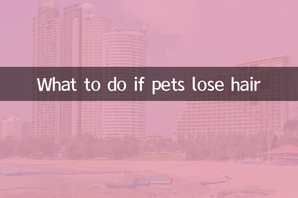 Cosa fare se gli animali domestici perdono i peli