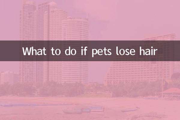 Was tun, wenn Haustiere Haare verlieren?